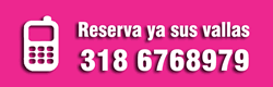 telefono de contacto
